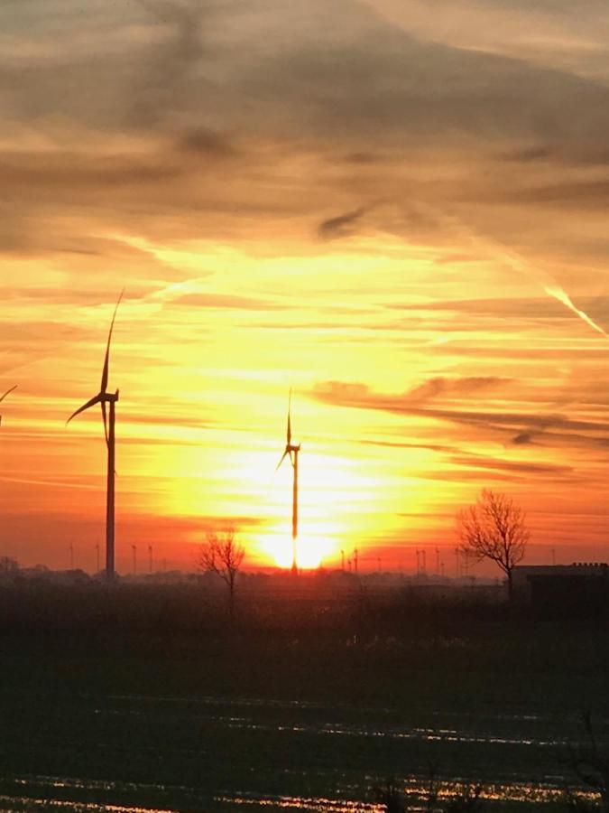 Ferienwohnungen Koch OG Schillig Exterior foto
